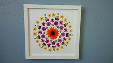 real pressed flower art mandala framed