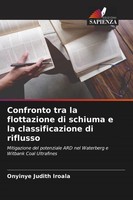 Onyinye Judith Iroala | Confronto Tra La Flottazione Di Schiuma E La...