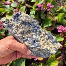 VIDEO💎Selten Bleiglanz Galenit auf DOLOMIT aus alter Sammlung Pichl Österreich