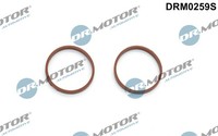 DRM0259S Dr.Motor Automotive Dichtungssatz, AnsaugkrüMmer FüR CitroËN,Dacia,Ds,F