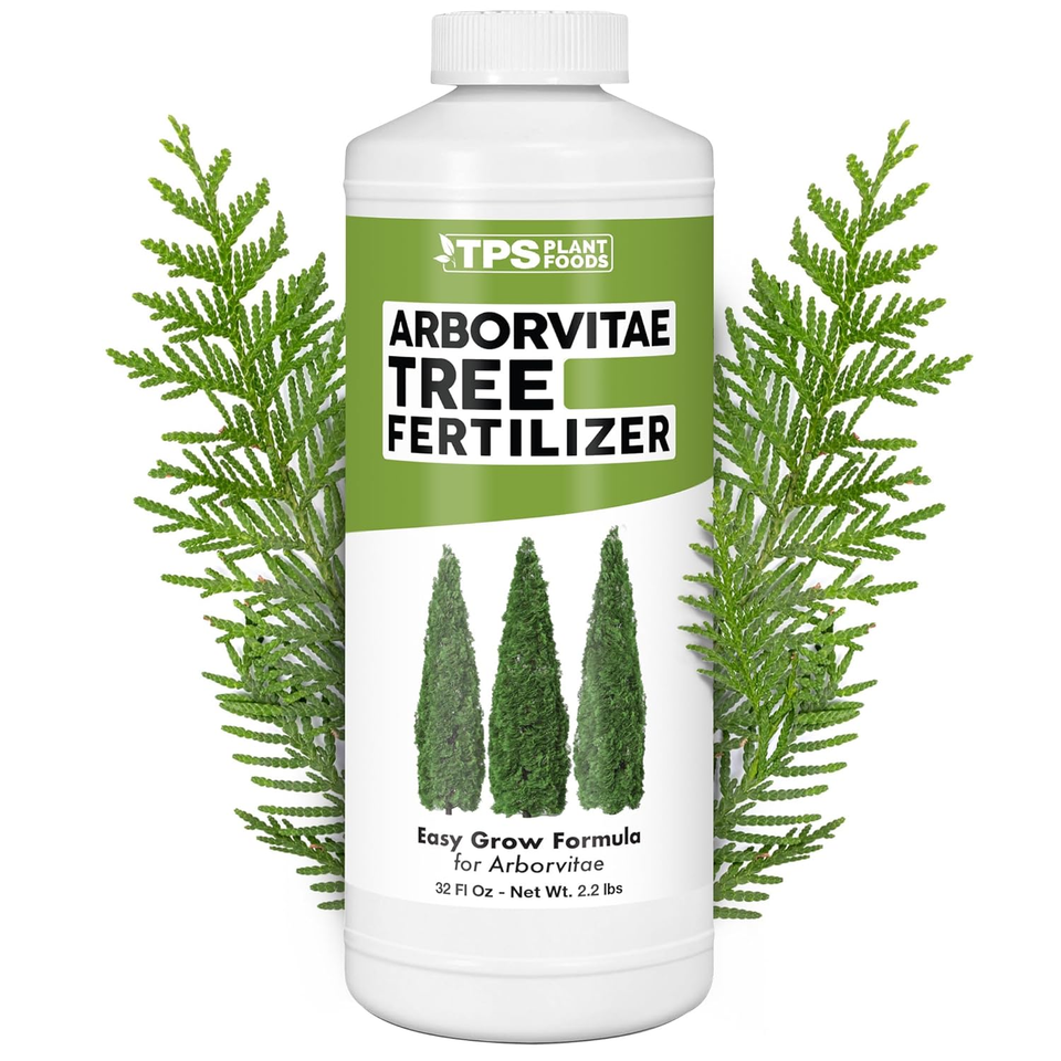 TPS NUTRIENTS Arborvitae Tree Fertilizer for All Arborvitaes, Evergreen ...