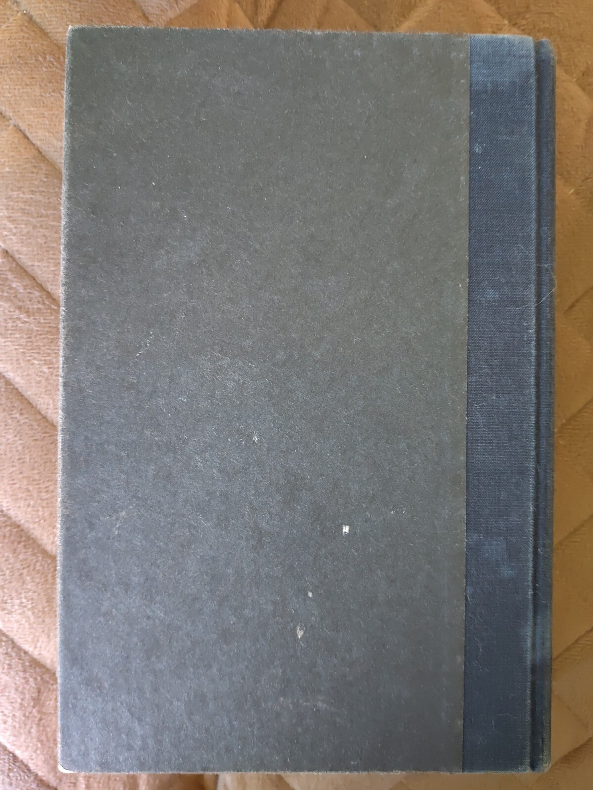 Picture 10 of 14