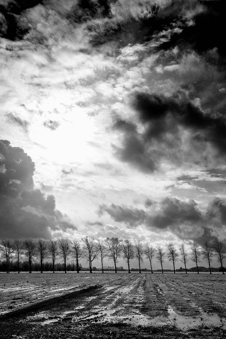 Thumbnail - Das, Was Du Suchst Marjoleine De Vos