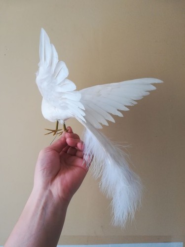 Simulación Pájaro Modelo Pájaro Espuma y Plumas Ala Cola Larga Muñeca Pájaro Regalo 30x20cm - Imagen 6 de 6