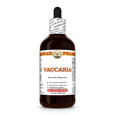 Vaccaria (Vaccaria Hispanica) Dried Seed Liquid Herbal Extract