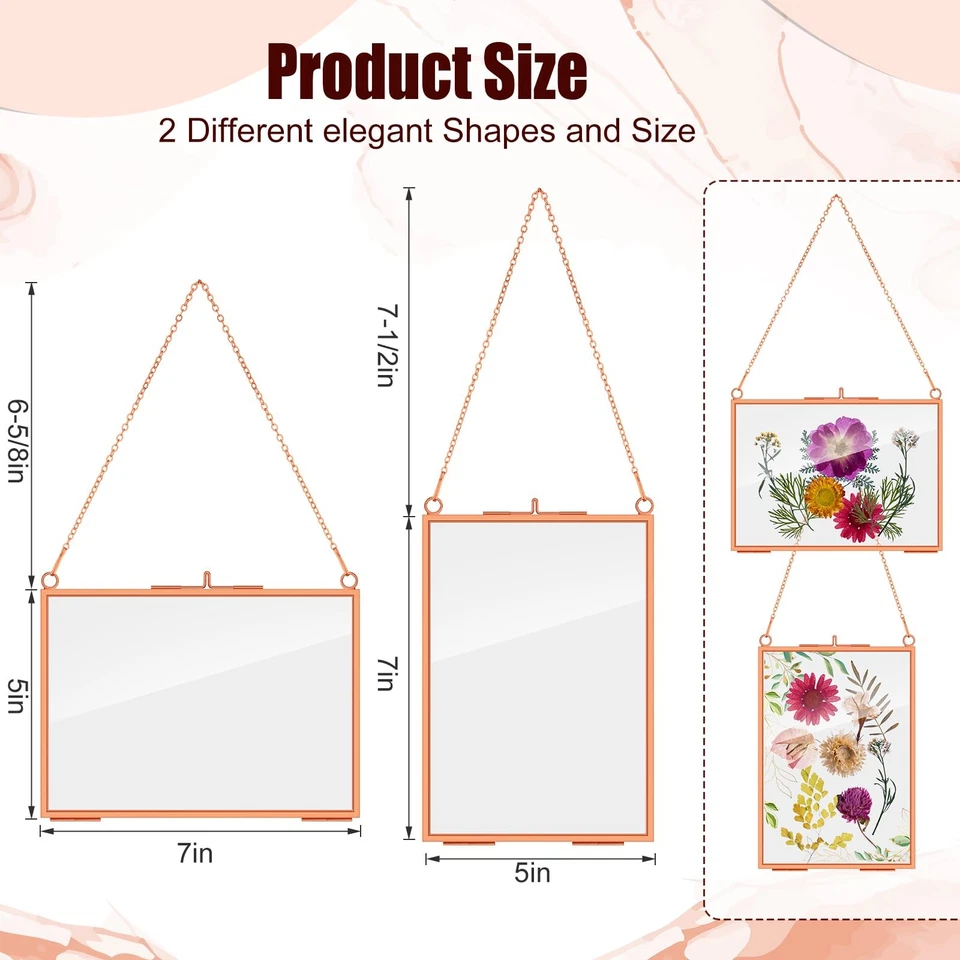 12 Pack Pressed Flowers Glass Frames, 5 x 7 Inch Brass Hanging Floating Frame... - Image 2 of 4