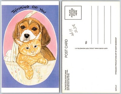 Dog Cat Basket Illustration Postcard