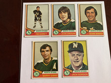 1974-1978 Minnesota North Stars NHL hockey trading cards - Topps - 29 of them
