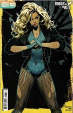 Birds of Prey #7 | Select Covers B-D | You Choose | DC Comics | 2024 NM