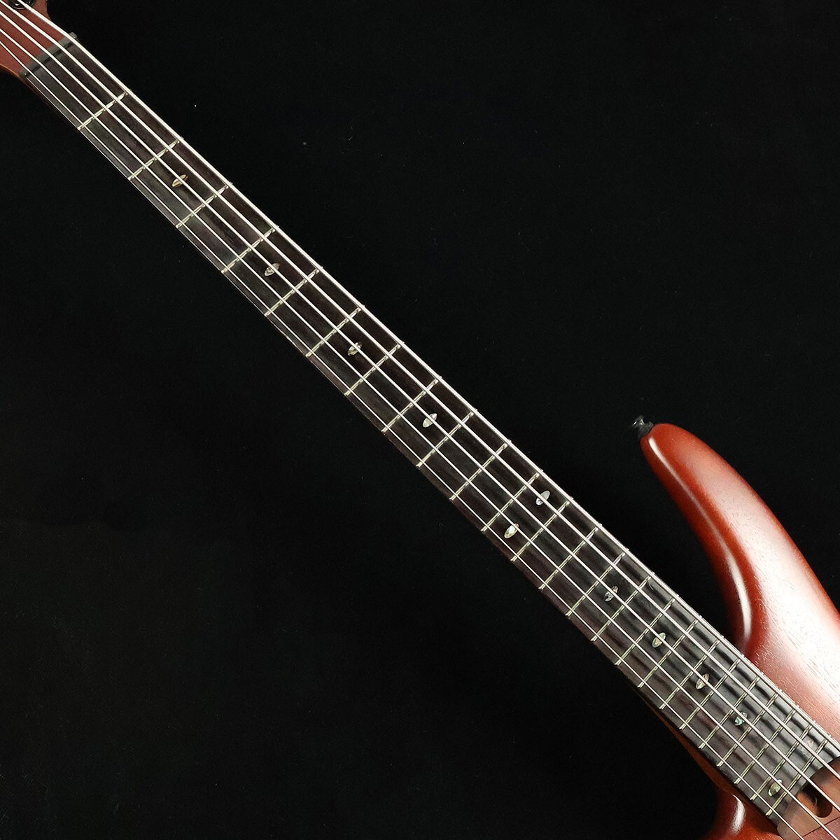 Ibanez Electric Bass Guitar SR505ELBM Brown Mahogany with