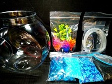 .5 Gallon Fish Tank Starter Kit, Nano Desk Aquarium. Customizable. You Choose 