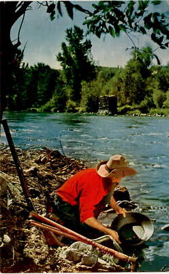 California, Gold Rush, 1848-1849, gold prospector, mining, migration,  Postcard
