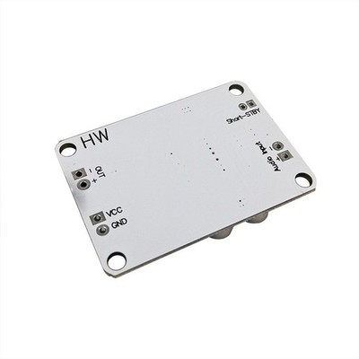 Einkanal 30W TPA3110 Digital Audio Board für DIY Audio Projekte DC 8-26V