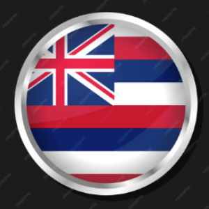 inhawaii | eBay Stores
