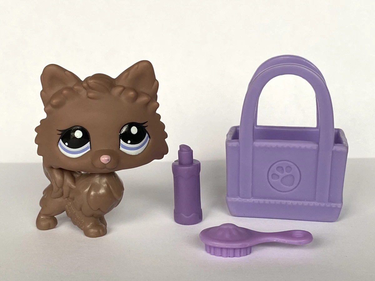 Pomeranian pet shop cheap