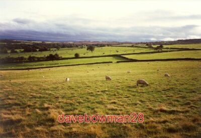 PHOTO  FIELDS IN THE EVENING LIGHT WARSILL UNIMPROVED PASTURE IN THE FOREGROUND