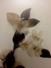 Foto 3 di 12