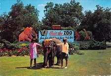 1964 Texas Fort Worth Zoo -  Shanti - Indian Elephant & Sign Postcard 4x6 C30