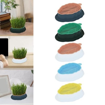 Katzen Grasschale Keimbehälter Katzen Gras Keimung Katzenminze Anbau