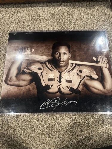 Bo Jackson Signed Bo Knows Shoulder Pads Bat 16x20 Photo CERTIFIED Royal Raiders