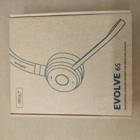 Jabra Evolve 65 TE Wireless Mono Headset, USB-A, MS (6693-833-309)