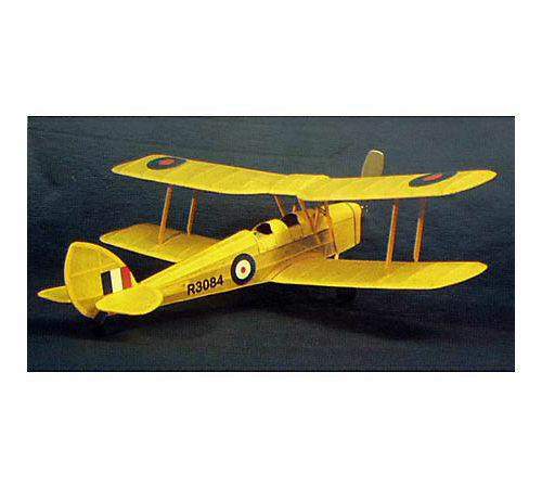 dumas tiger moth