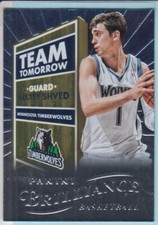 SHVED Alexey #14 Shine Card Basketball Fleer Deck Panini Basketball NBA