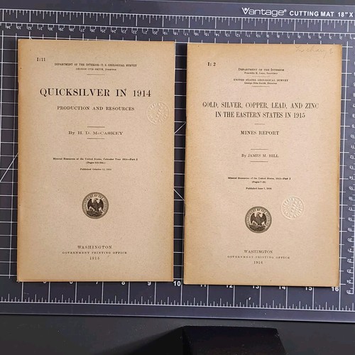 U.S. Geological Survey Quicksilver Mines Report Lot Gold Silver Eastern 1915