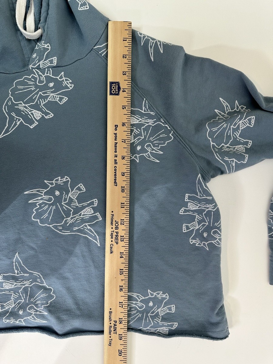 Messy Bun Just Chillin Womens XL Dinosaur Cropped Hoodie Sweatshirt Blue View 5