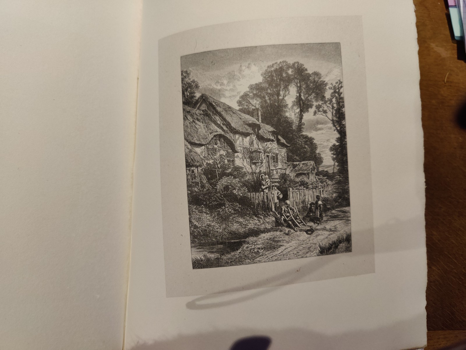 Picture 19 of 24