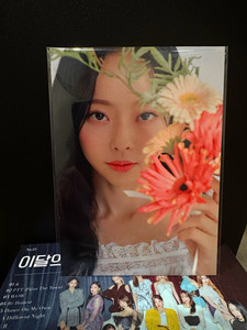 25+ Loona Vivi Album for sale | Updated Oct 2026