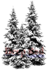 Deep Red Stamps Winter Pines Rubber Cling Stamp