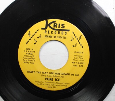 Soul 45 Pure Ice - That'S The Way Life Was Meant (To Be) / Live & Let Live On Kr