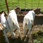 Bild 6 von 6