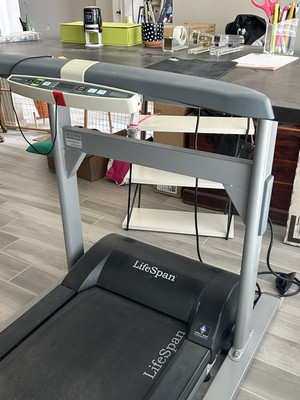 Lifespan Treadmill Desk TR1200DT