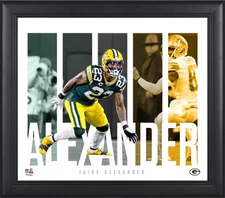 Jaire Alexander Green Bay Packers 15x17 Player Panel Collage