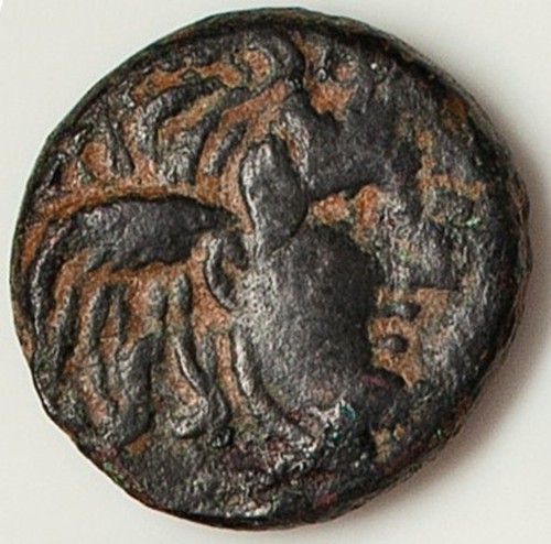 SELEUCID KINGDOM Seleukos I Nikator MEDUSA & Bull 312 BC Ancient Greek Coin D392 - Picture 2 of 2