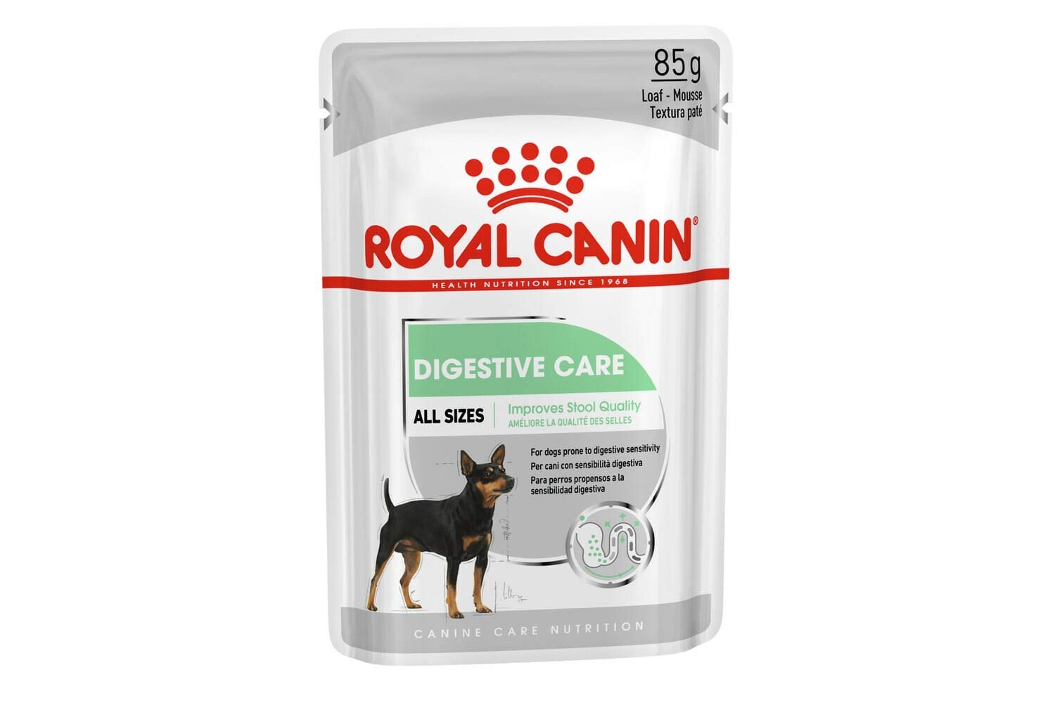 Royal Canin Digest Sensitive Dog Wet Food in GRAVY 12x85g