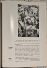 Foto 4 di 5