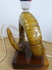 Bild 4 von 7