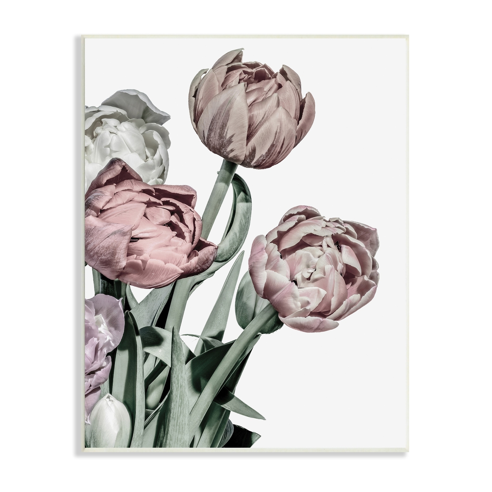 Stupell Bold Globeflower Floral Bouquet Vintage Faded Tones White 10 x 15