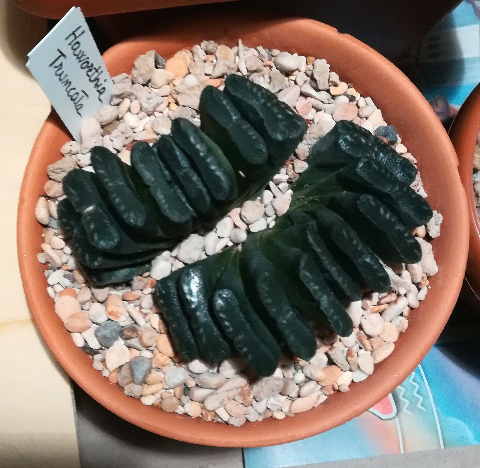 Foto 2 di 3