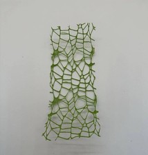 Green Jumping Spider/ Mantis Moss Ribbon 2x6