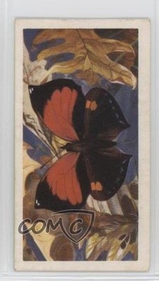 1964 Brooke Bond Butterflies of the World Siderone mars #34 2p7