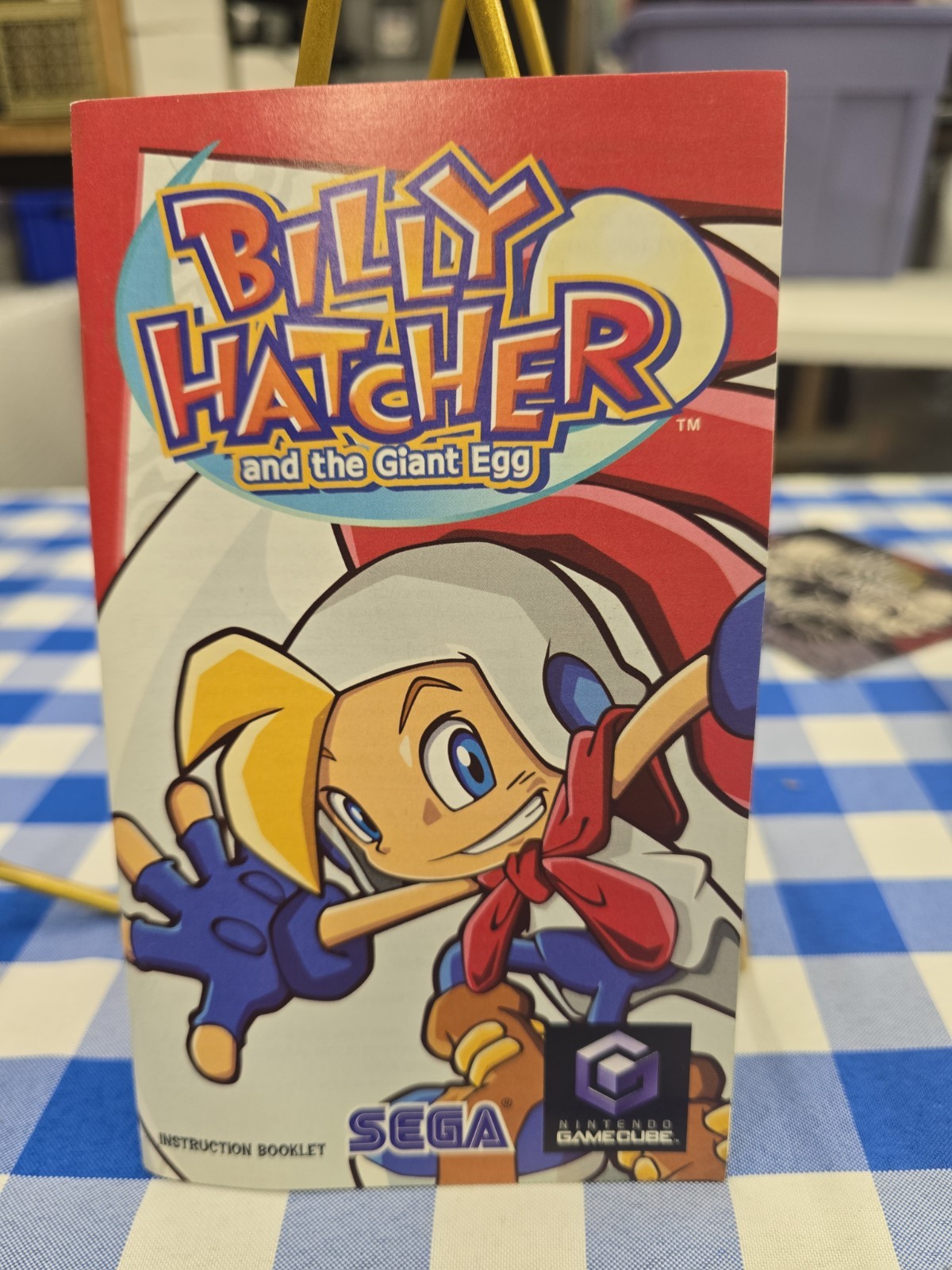 Billy Hatcher and the Giant Egg MANUAL ONLY (Nintendo Gamecube) NO GAME