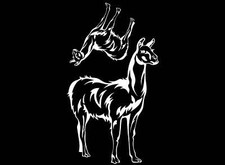 Llama 2 pcs White Fused Glass Decals