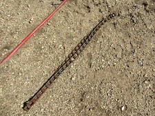 MASSEY FERGUSON 468 PLANTER HERBICIDE INSECTICIDE FLAT DRIVE CHAIN