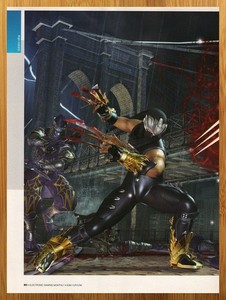 Ninja Gaiden Poster | eBay