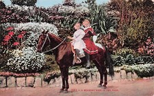 Postcard Vintage 1 A Morning Ride in the Park 2252 UP  119 
