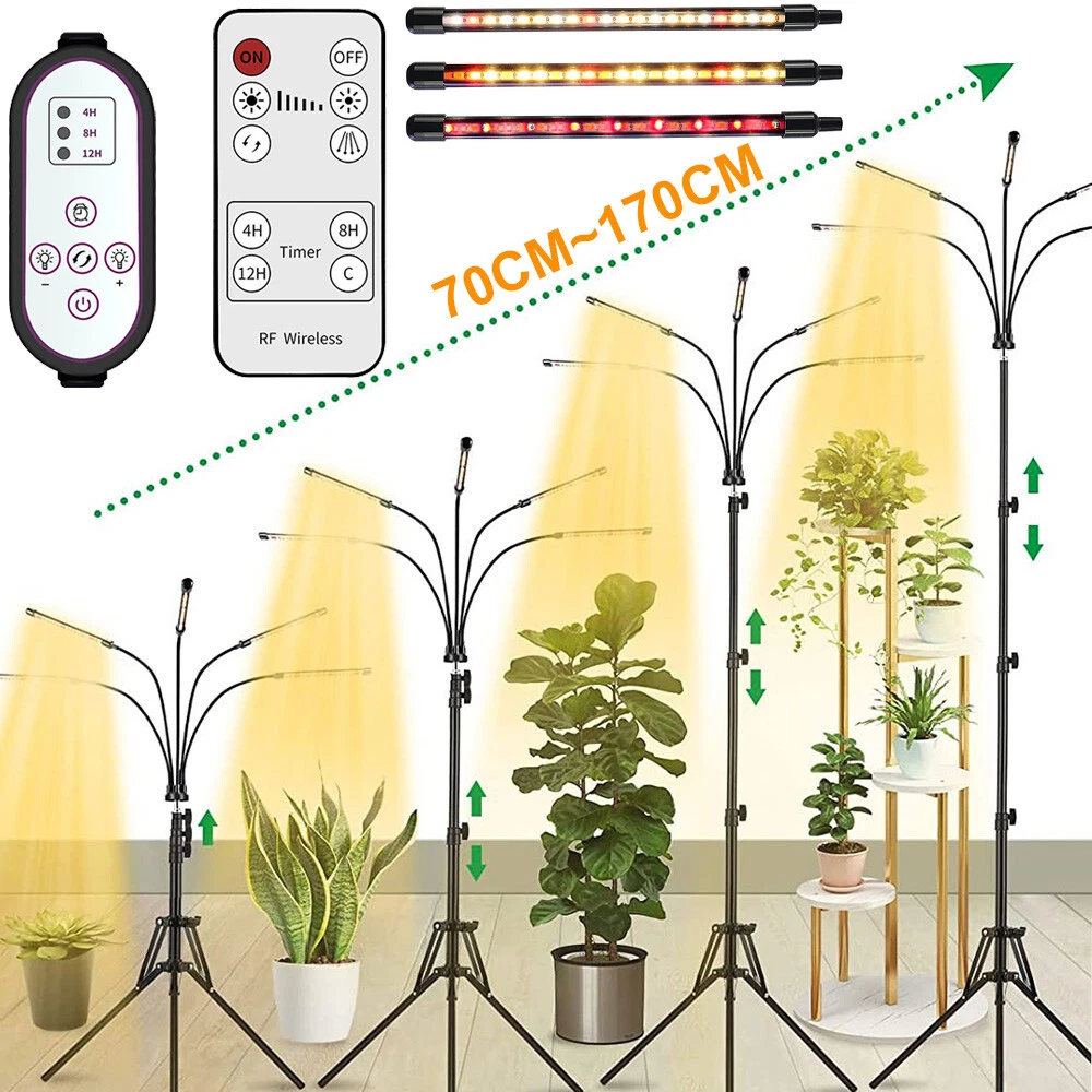 Wireless plant grow light outlet
